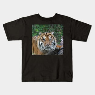 Sumatran Tiger Kids T-Shirt